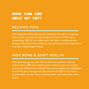 Qurist Pets CBD Oil