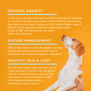 Qurist Pets CBD Oil