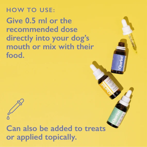Dog CBD Oil