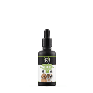 CBD Oil for Large Dogs