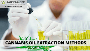 Cannabis Oil Extraction Methods