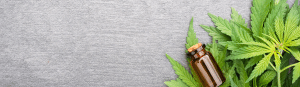 CBD Oil in Himachal Pradesh