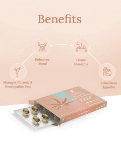 Peace Capsules