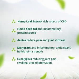 Hampa Hemp Arthritis Care Oil