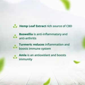 Hampa Hemp Joint Care Capsules