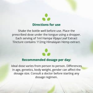 Hampa Vijaya Extract Tincture (11.2%)