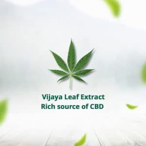 Hampa Vijaya Extract Tincture (2.5%) for Pets