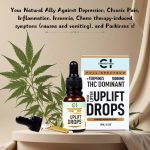 Cannazo - Uplift Drops – THC Dominant – Mood Lifters - 10ml