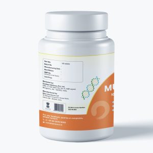 MediZen Reishi Mushroom for Enhances Recovery & Immune Support, 1000mg (90 Tablets)