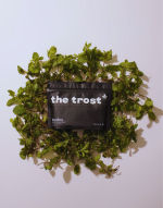 The Trost Kosha (Mint Flavor) - Cannabis Gummies (Mriduvati)