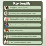 Nuvedic Immunity Booster Capsules – Ayurvedic Immune Support | Detox & Wellness Formula