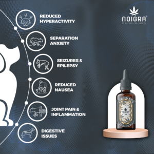 CBDILOEX for Pets by Noigra