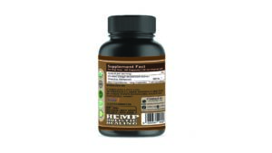 Chaga Mushroom