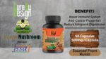 Superrsupps Reishi Mushroom