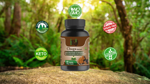 Chaga Mushroom