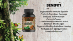Chaga Mushroom